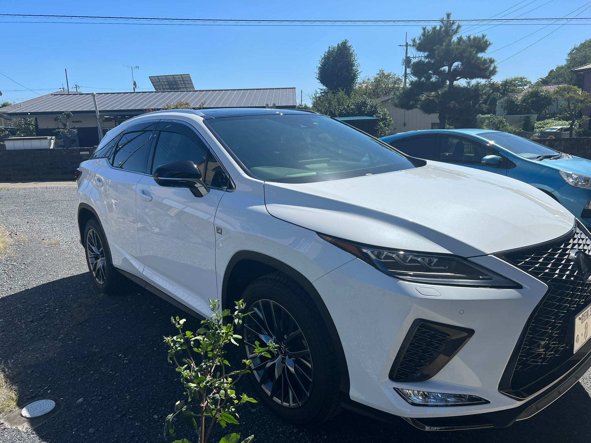 LEXUS&nbsp;RX300 F SPORTS